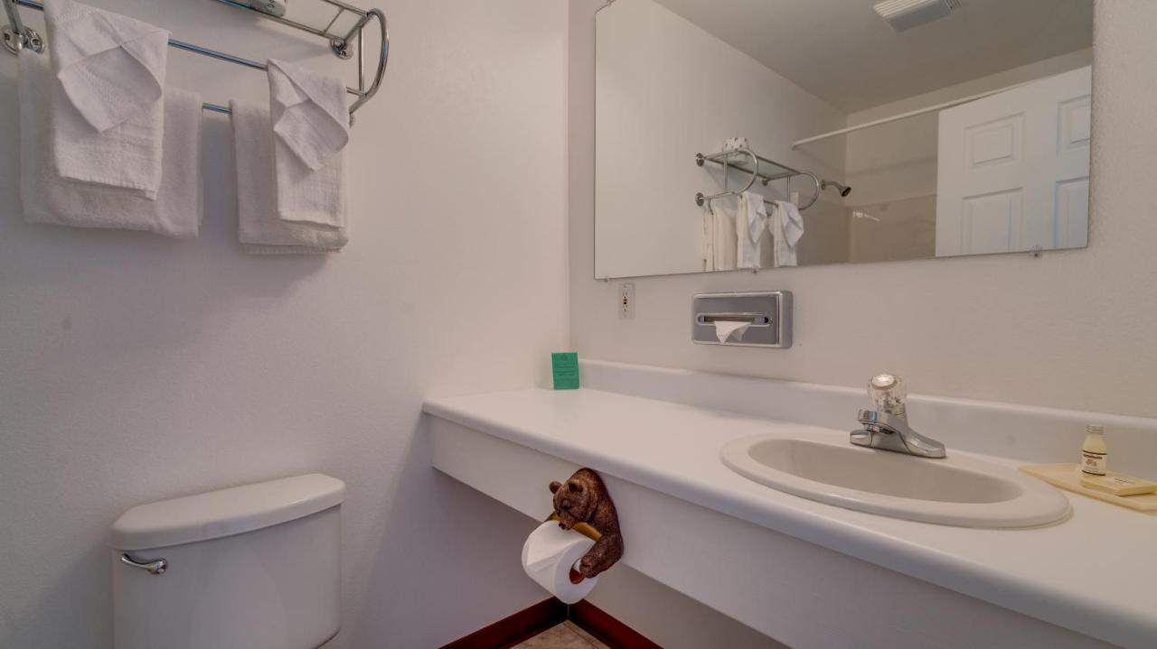 Pet Friendly King Studio Kitchenette,510690954:JPEG