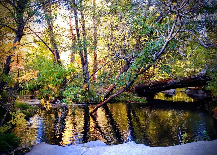 Quiet Mind , Spa & Retreat Sequoias